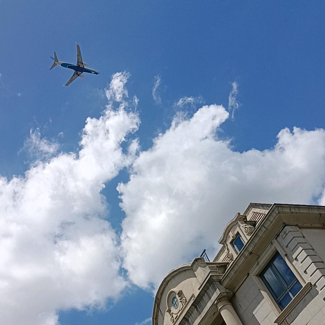 我爱李