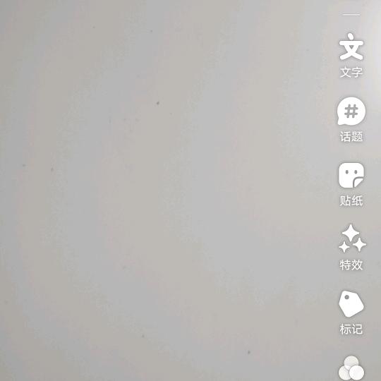 两个孙子的奶奶