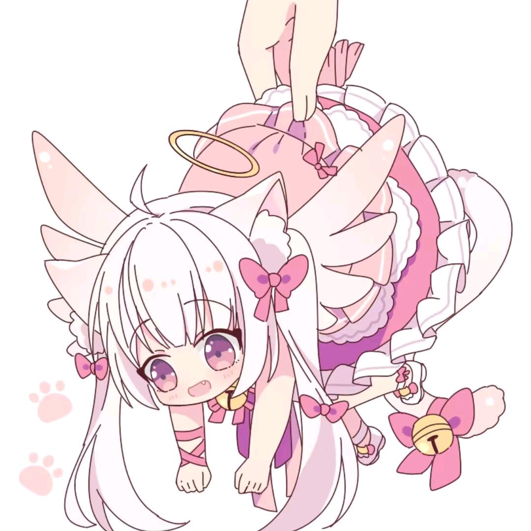 星之雨下