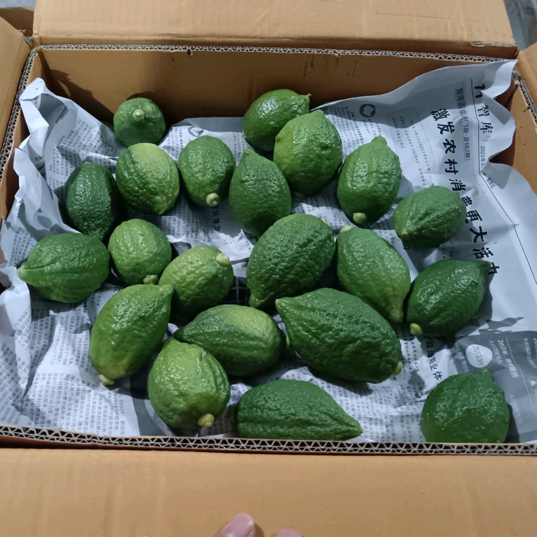 香水柠檬KK