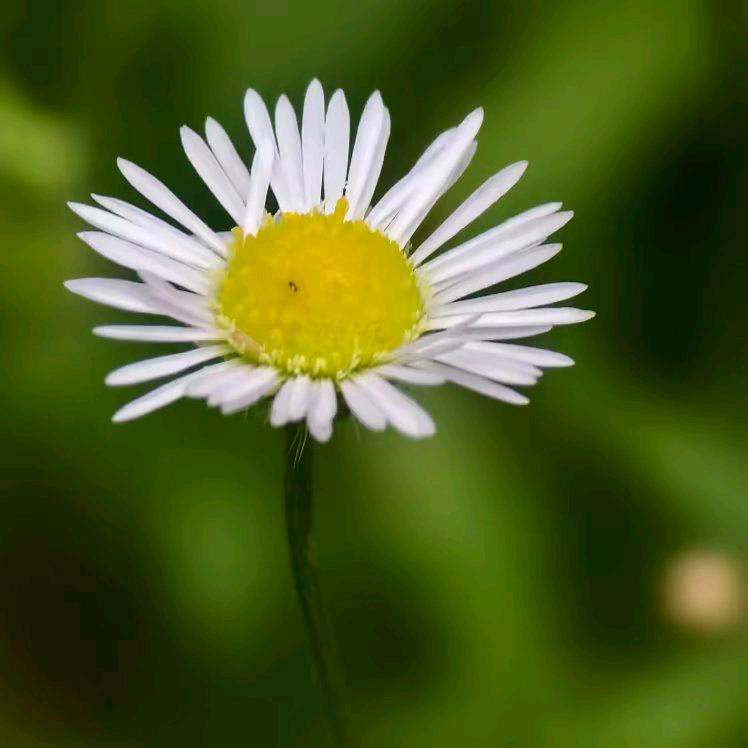 淘花运花卉小世界