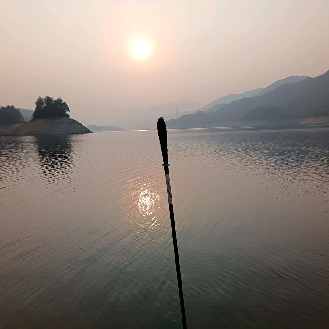魚哆嗦