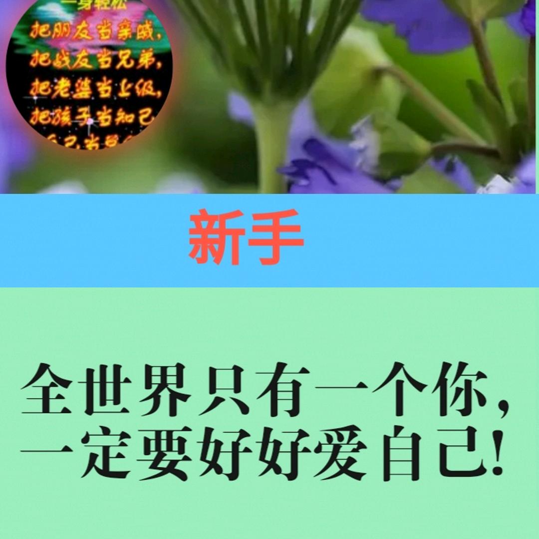 新手