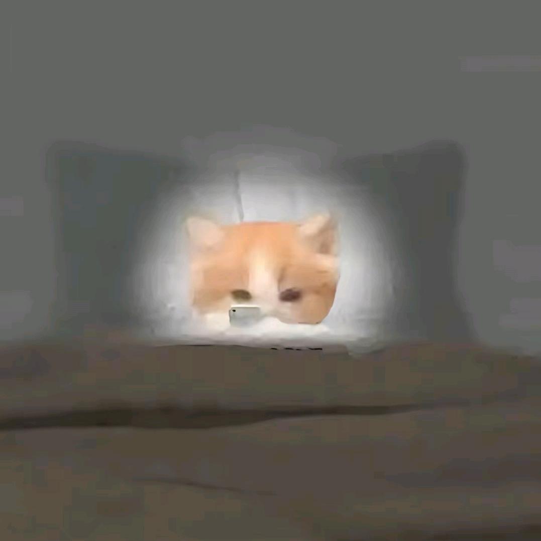 颖颖.