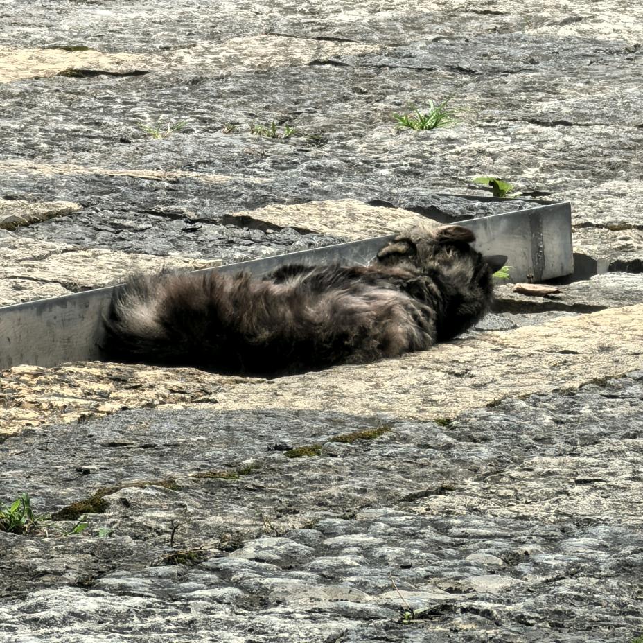 AAA建材批发东哥