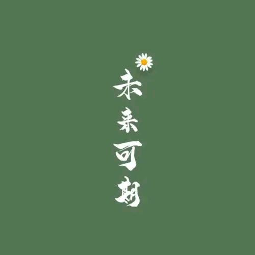 未来可期ʕ ᵔᴥᵔ ʔ