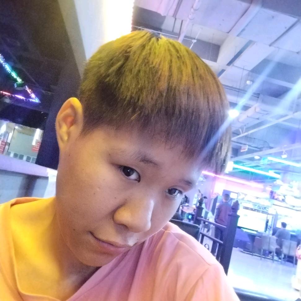 凤凰飞上梅枝，夏日喝着可乐想歪歪
