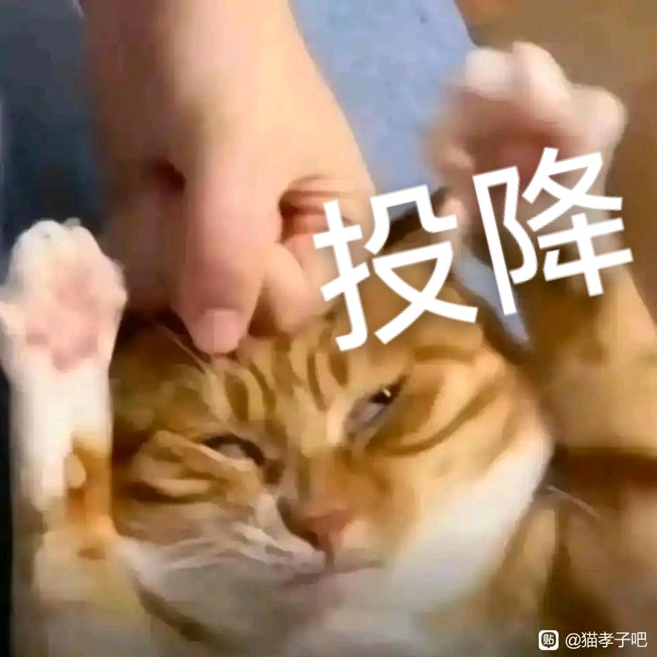 天气预报Rain