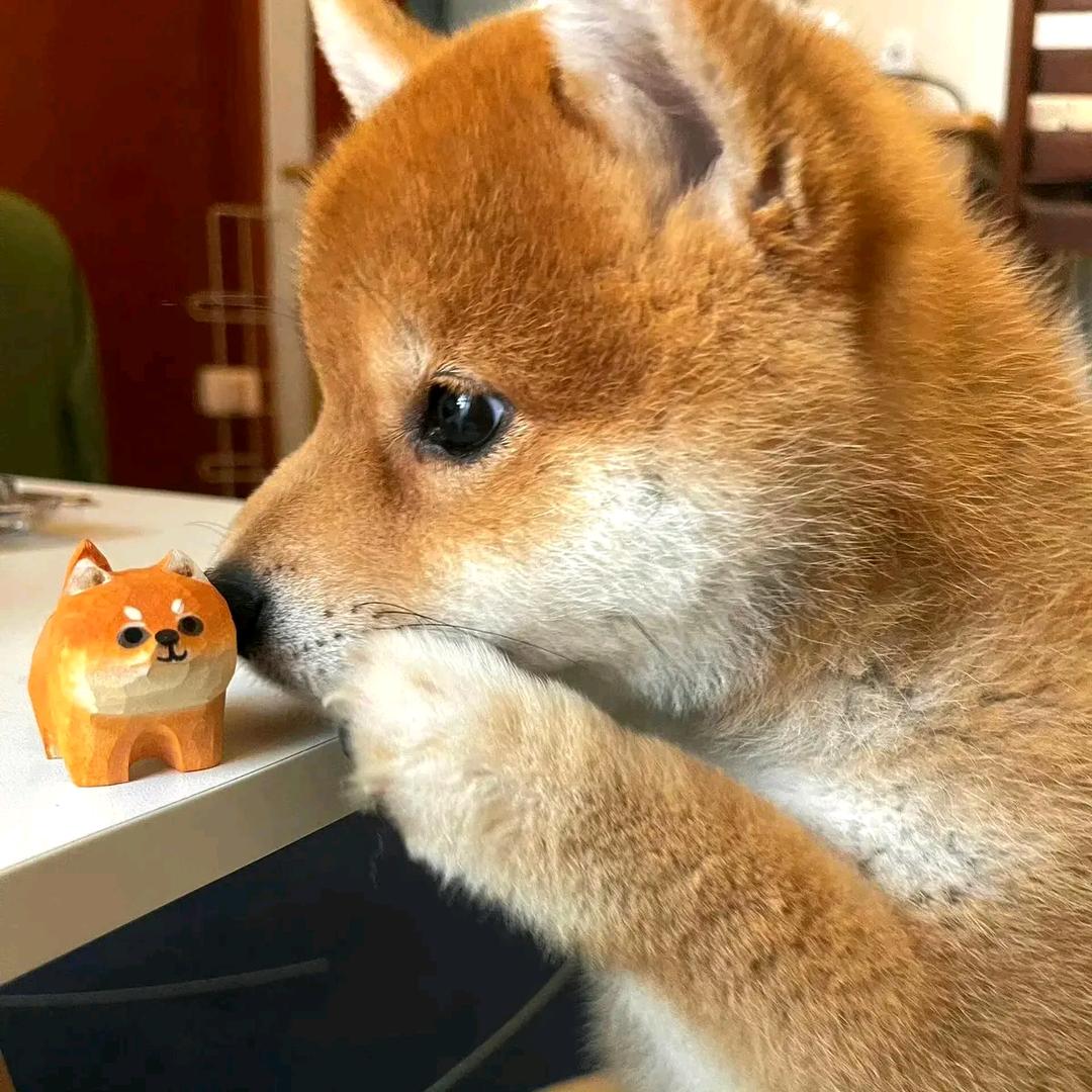 zaiz