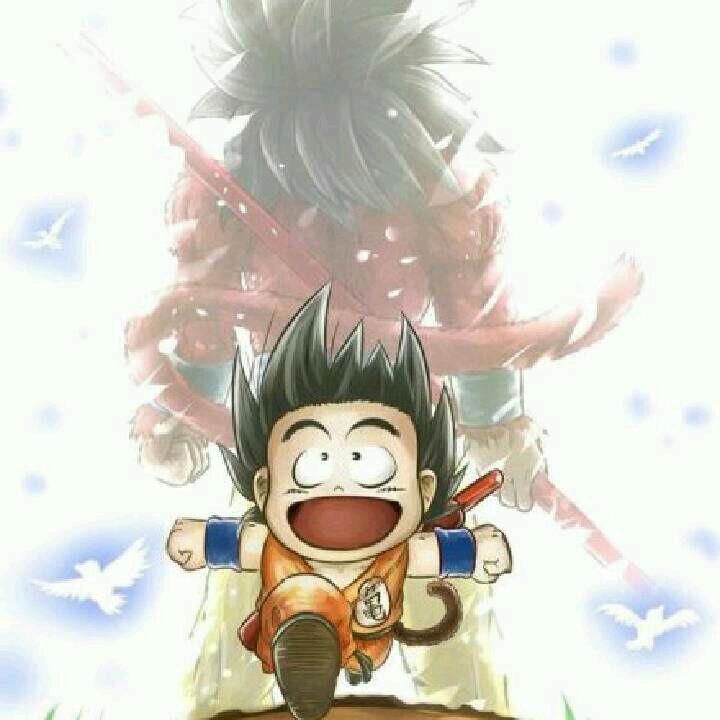 炒股养家