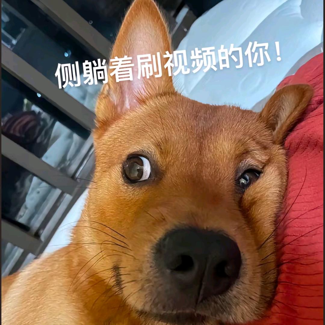 锦鲤小富婆