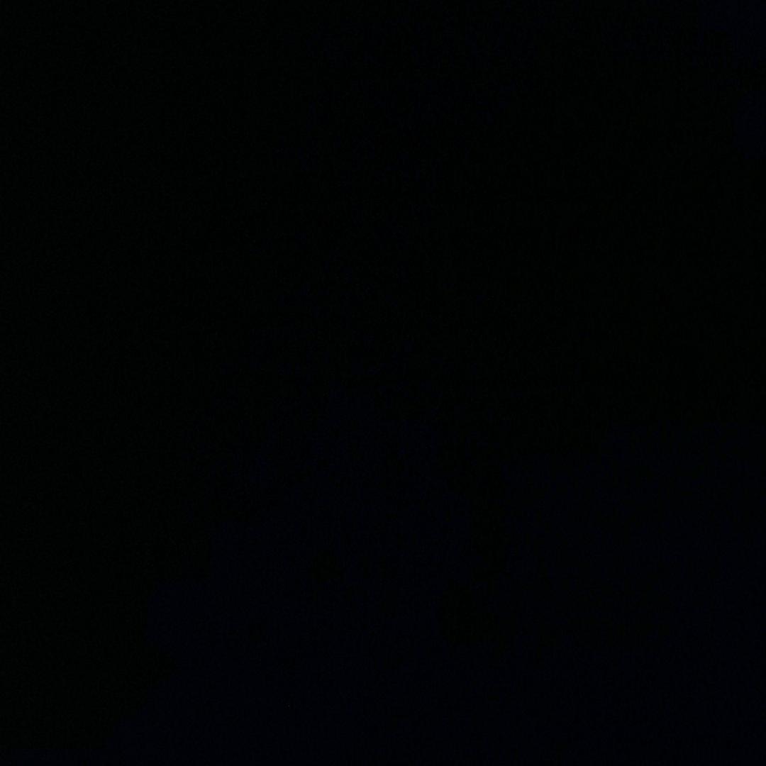 一条流浪的烂死狗