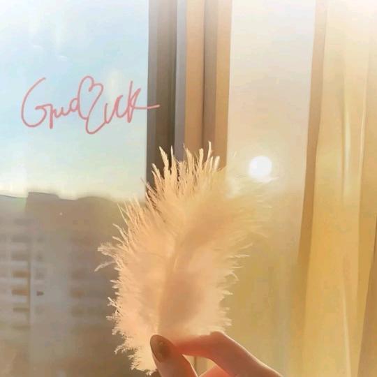 爱分享的炊事员