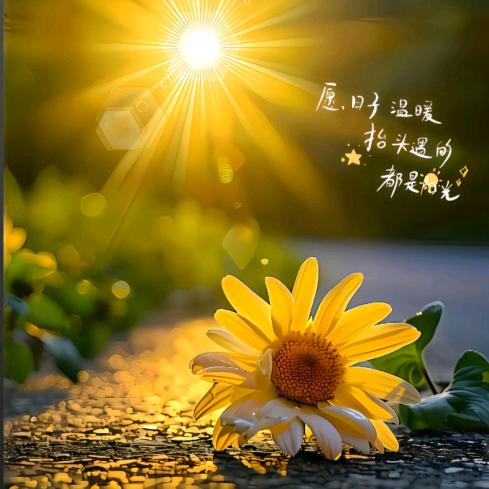 时光荏苒