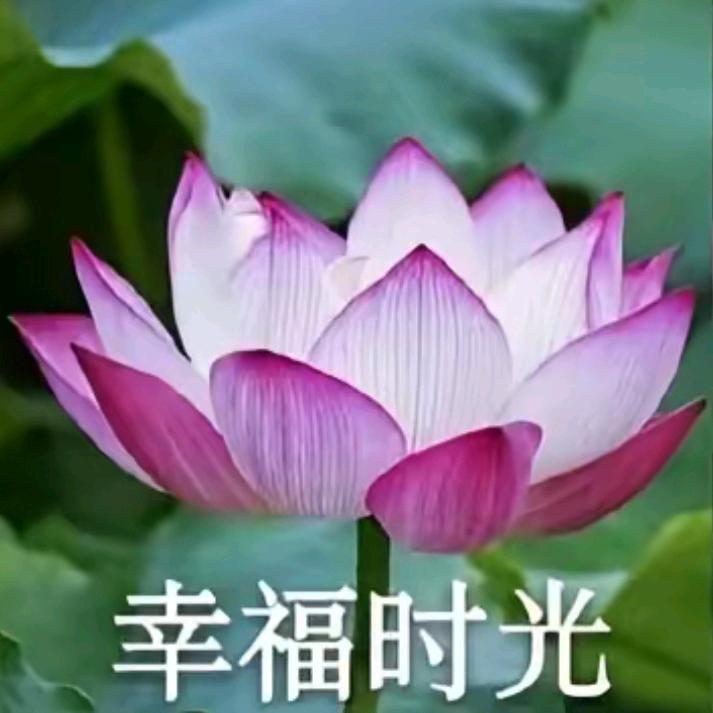 王春风