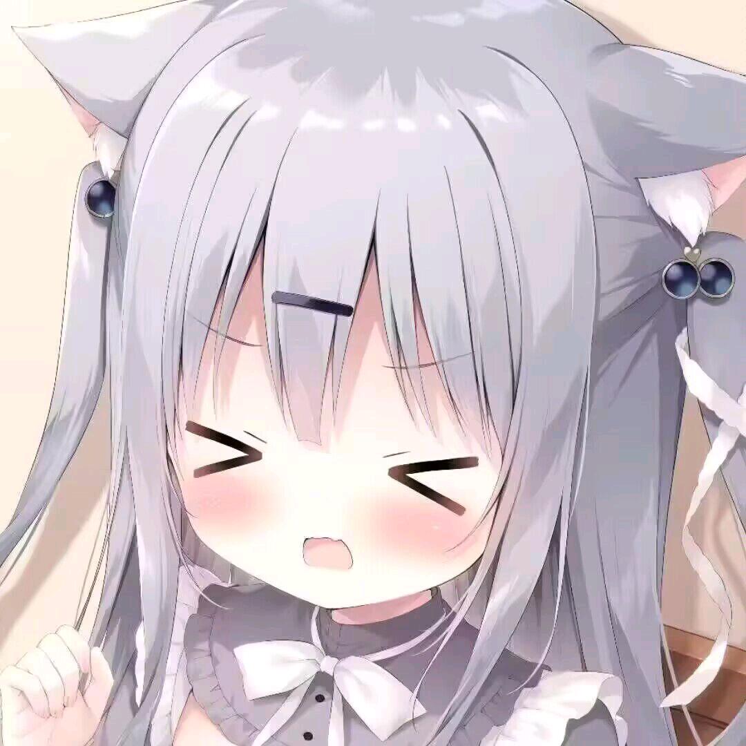 不知名的纯路人