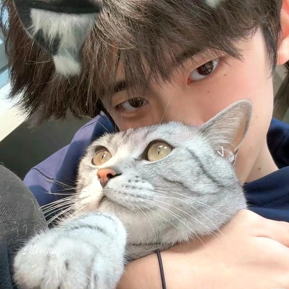 暴力养猪