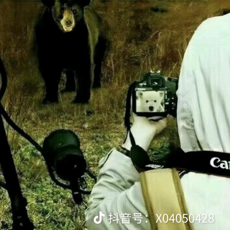 穆尘学长📸（川南）