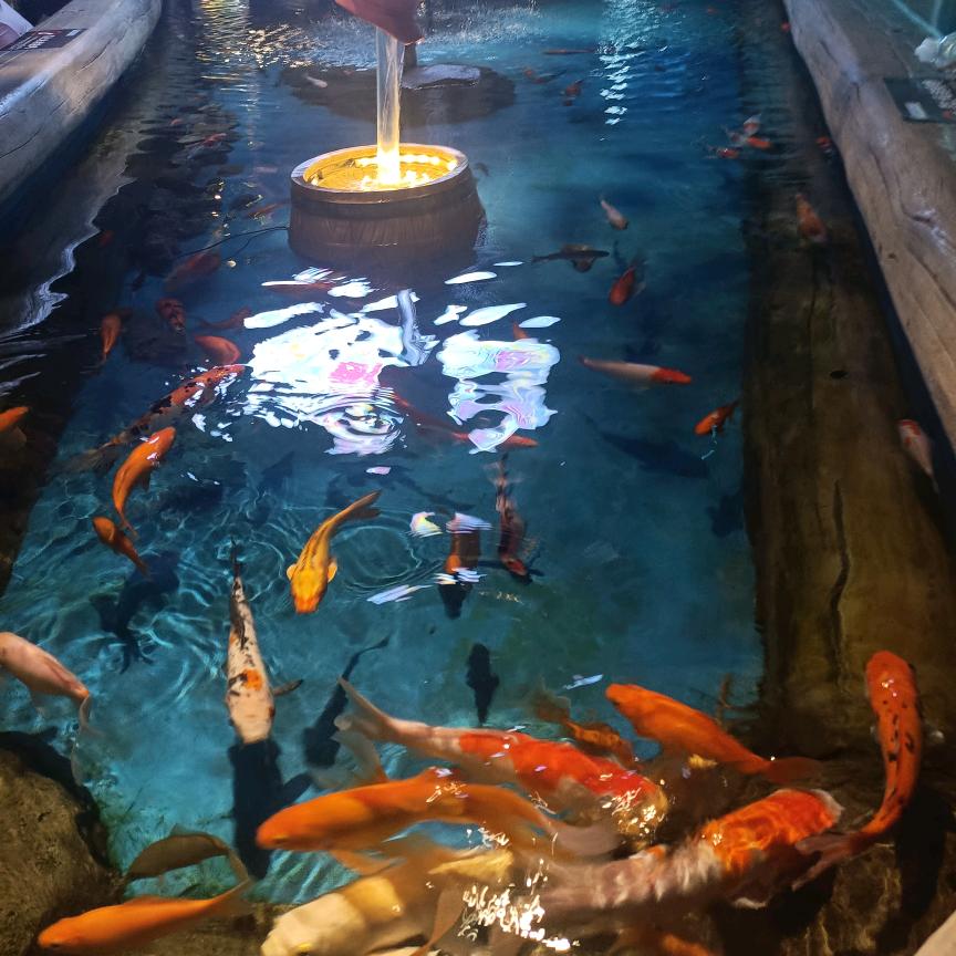 老杨家炸货熟食