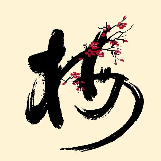 梅花丨殇