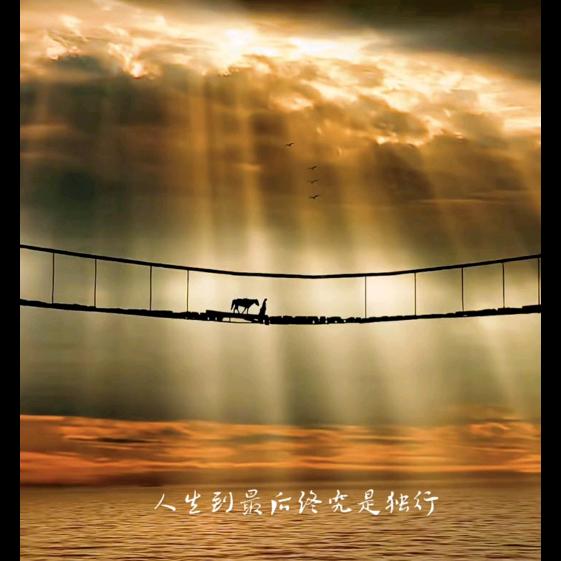 ꧔ꦿ℘余生💞᭄᪲ᩚ꯭ᩚ我独行꧔ꦿ᭄꧔