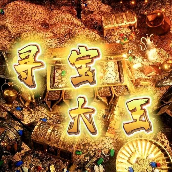 寻宝大王