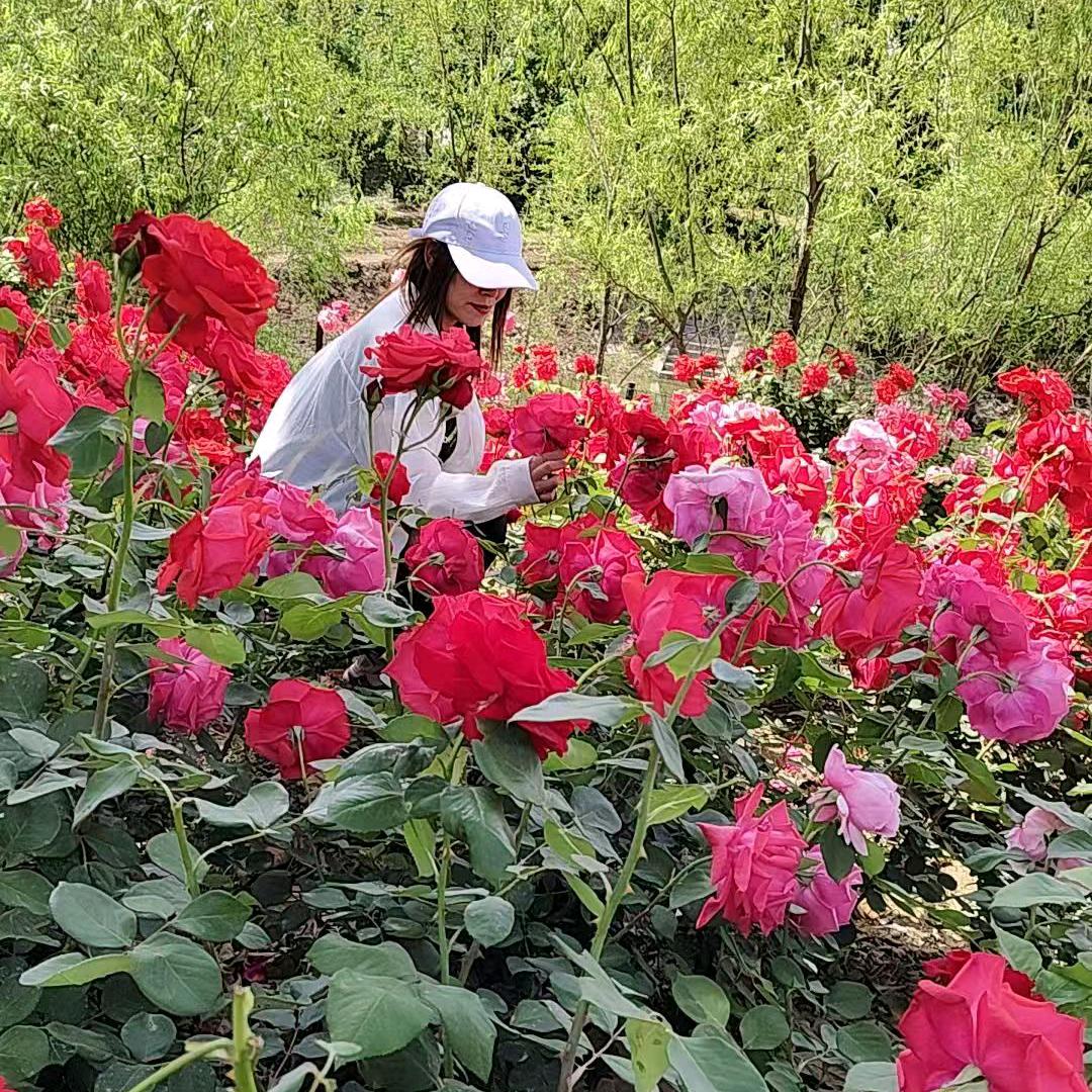 姐就这么拽