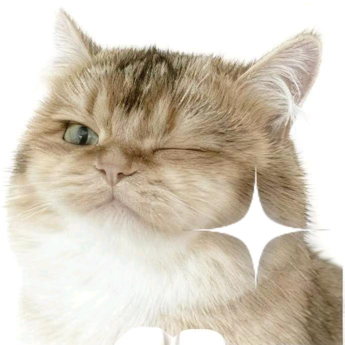 我是麻薯₍˄·͈༝·͈˄*₎◞ ̑̑