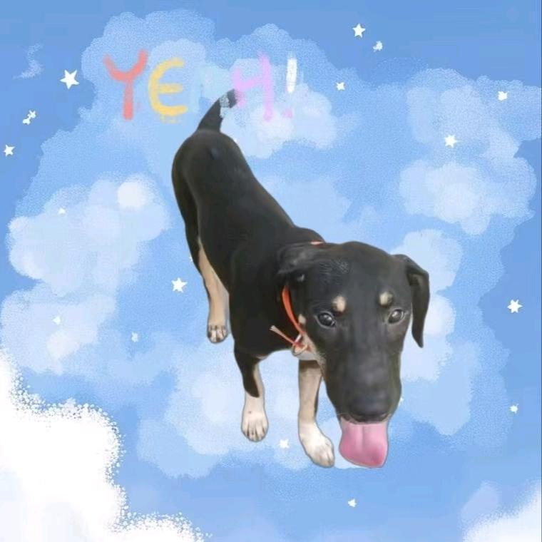 ꧔ꦿ᭄臭宝꧔ꦿ᭄