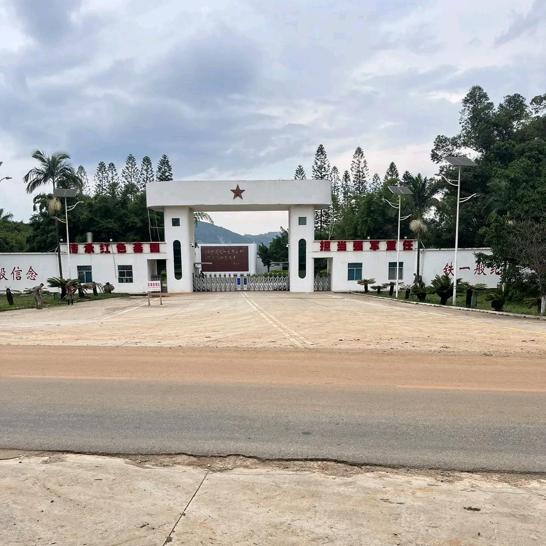 老王家的卤味摊（摆摊日记）