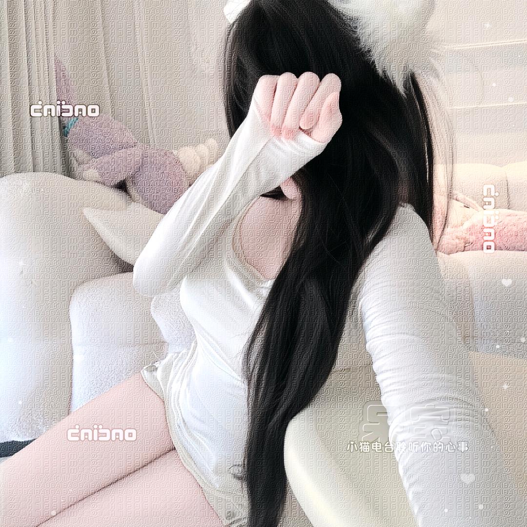 布偶呆