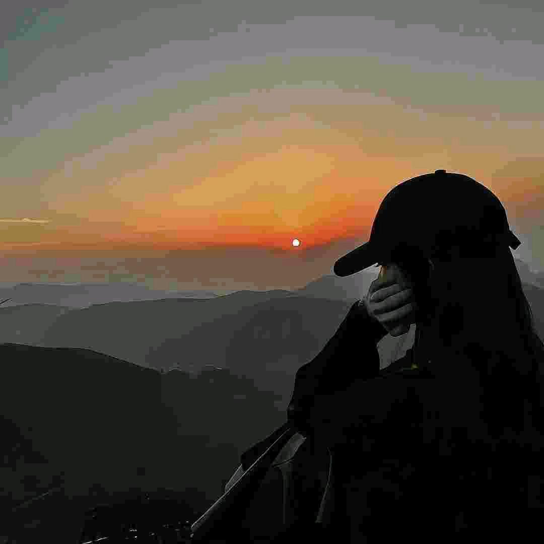 赵 我说的做✨️