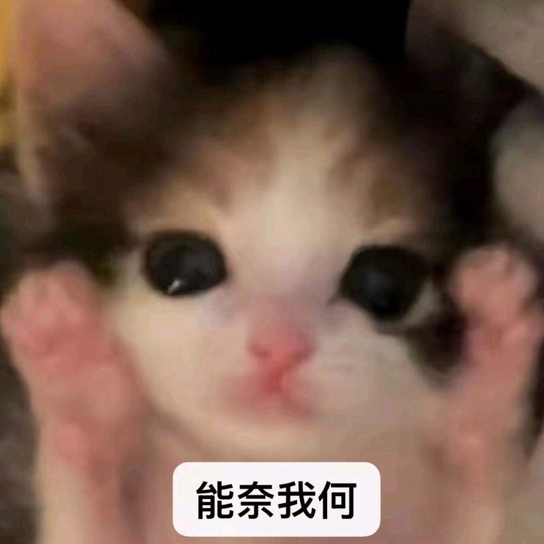杰杰杰杰杰