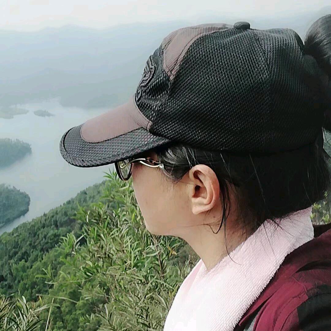 中山凤凰鸡琴姐
