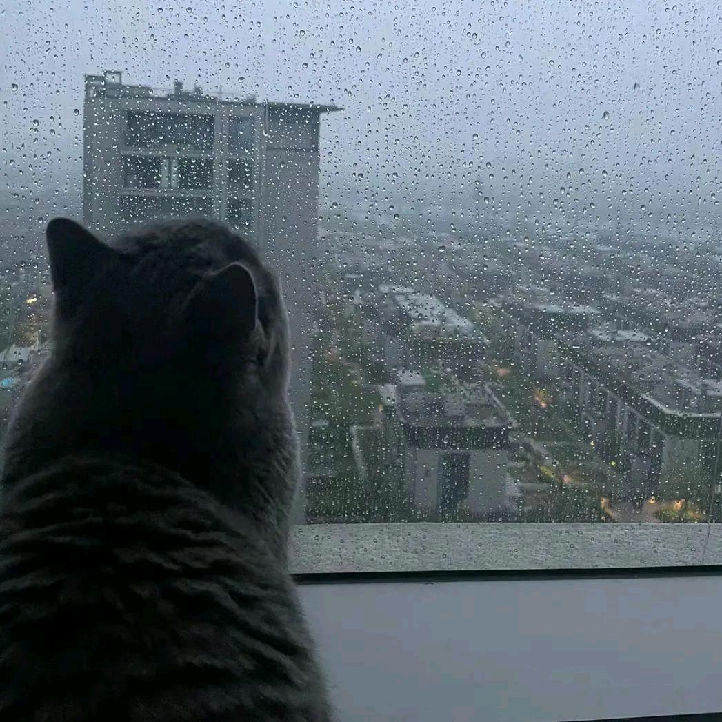 沦陷。