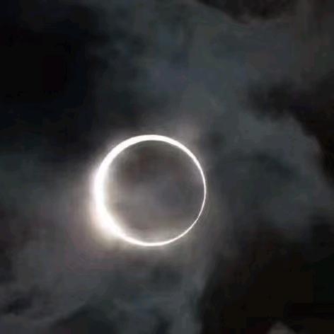 无月（永劫摸金版）