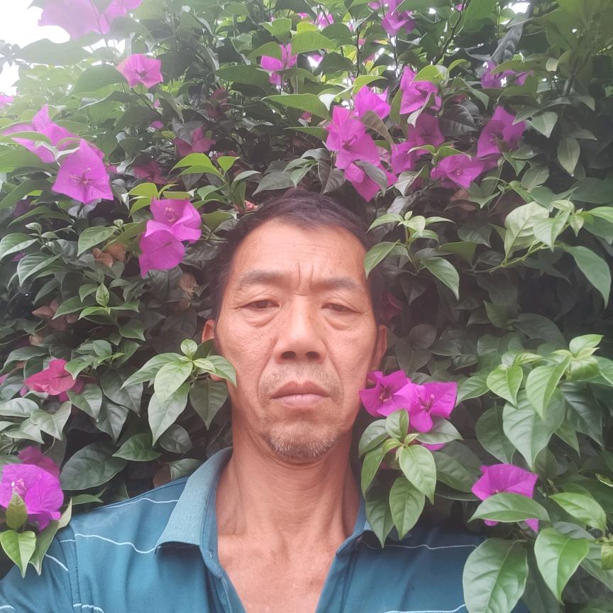 有你真好，陈