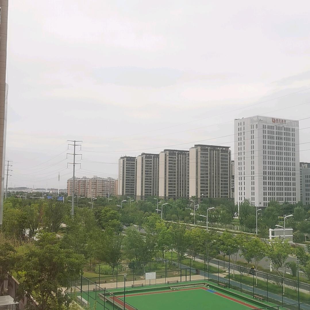 洛洛小姐姐