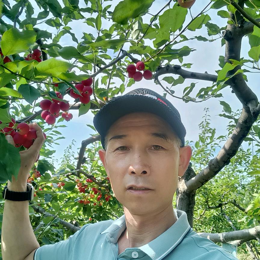 小闫瓦工