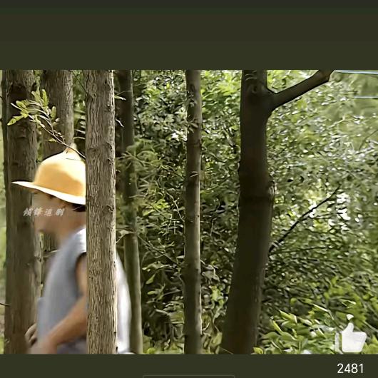 在等两年