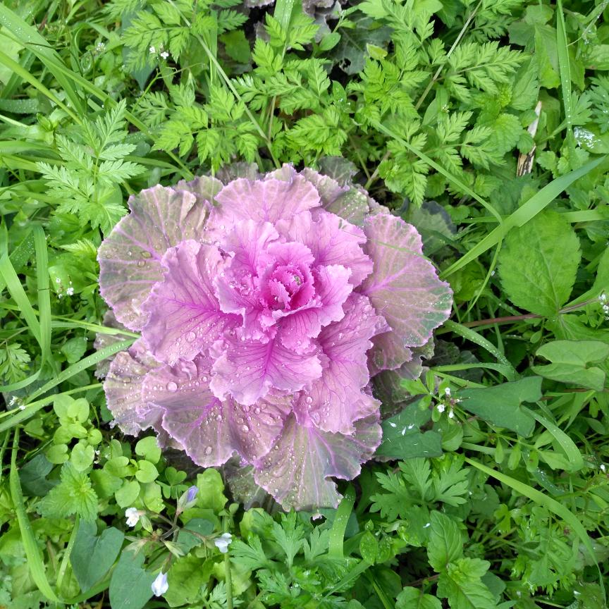乐逍遥🌸