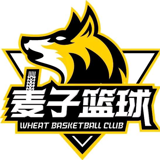 麦子篮球青少年体能训练中心