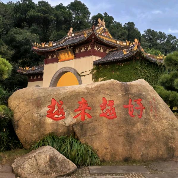 越来越好👌