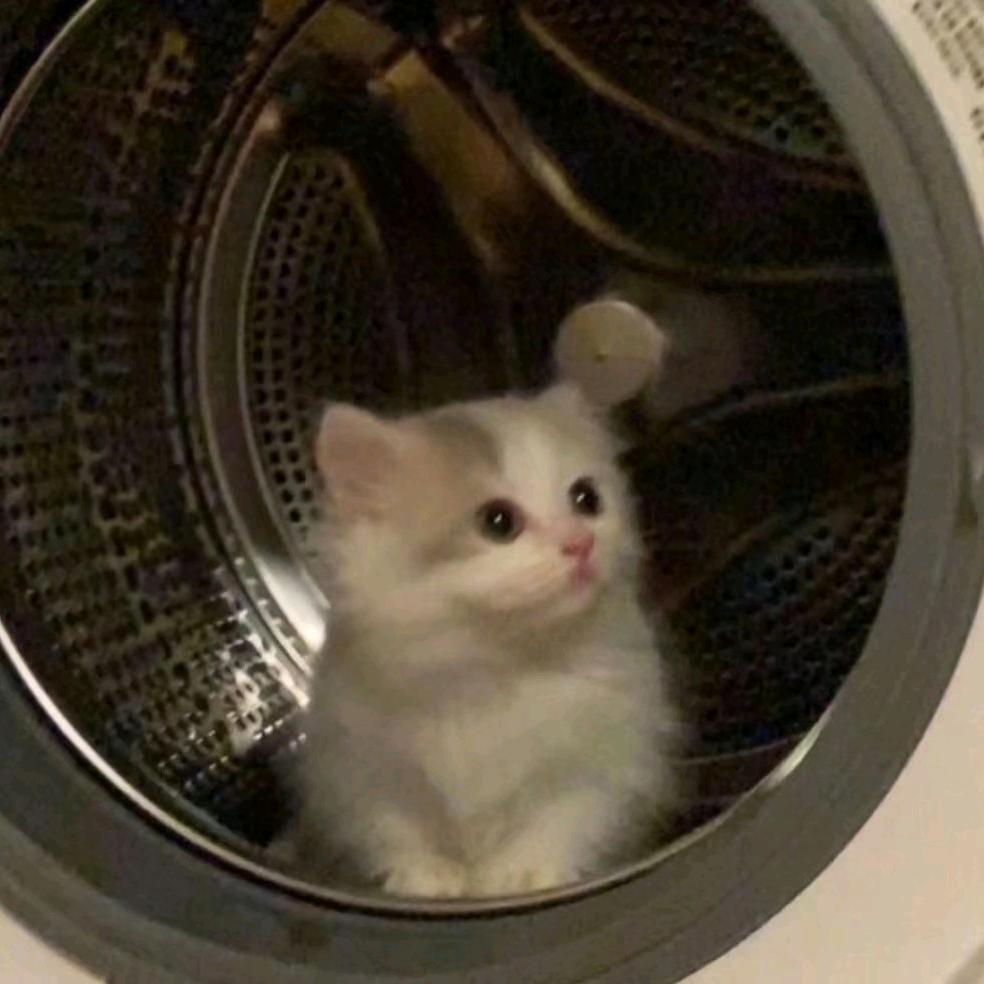 乔宥（比赛时间排位后）