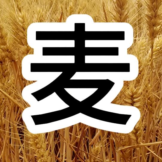 麦果说影