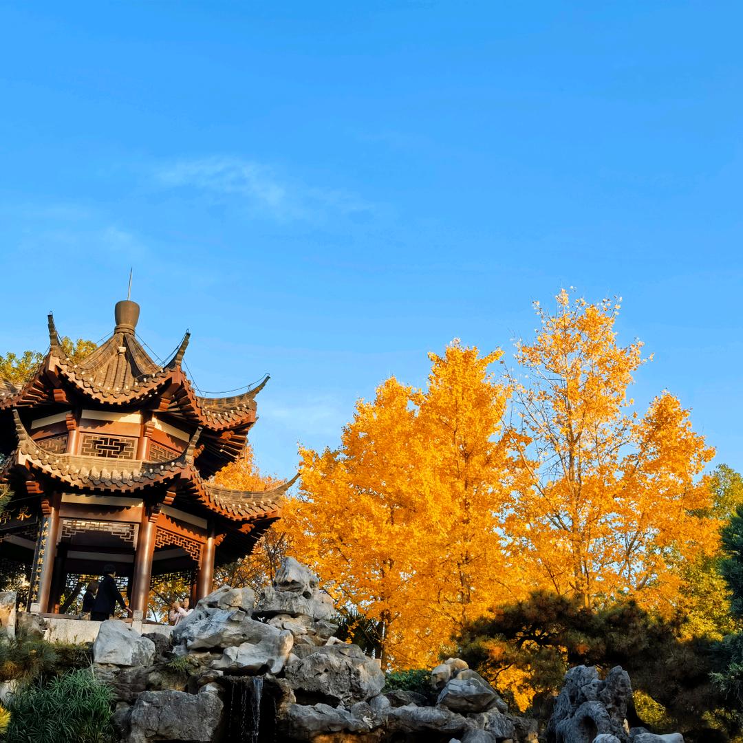 李阳疯狂英语-武汉区