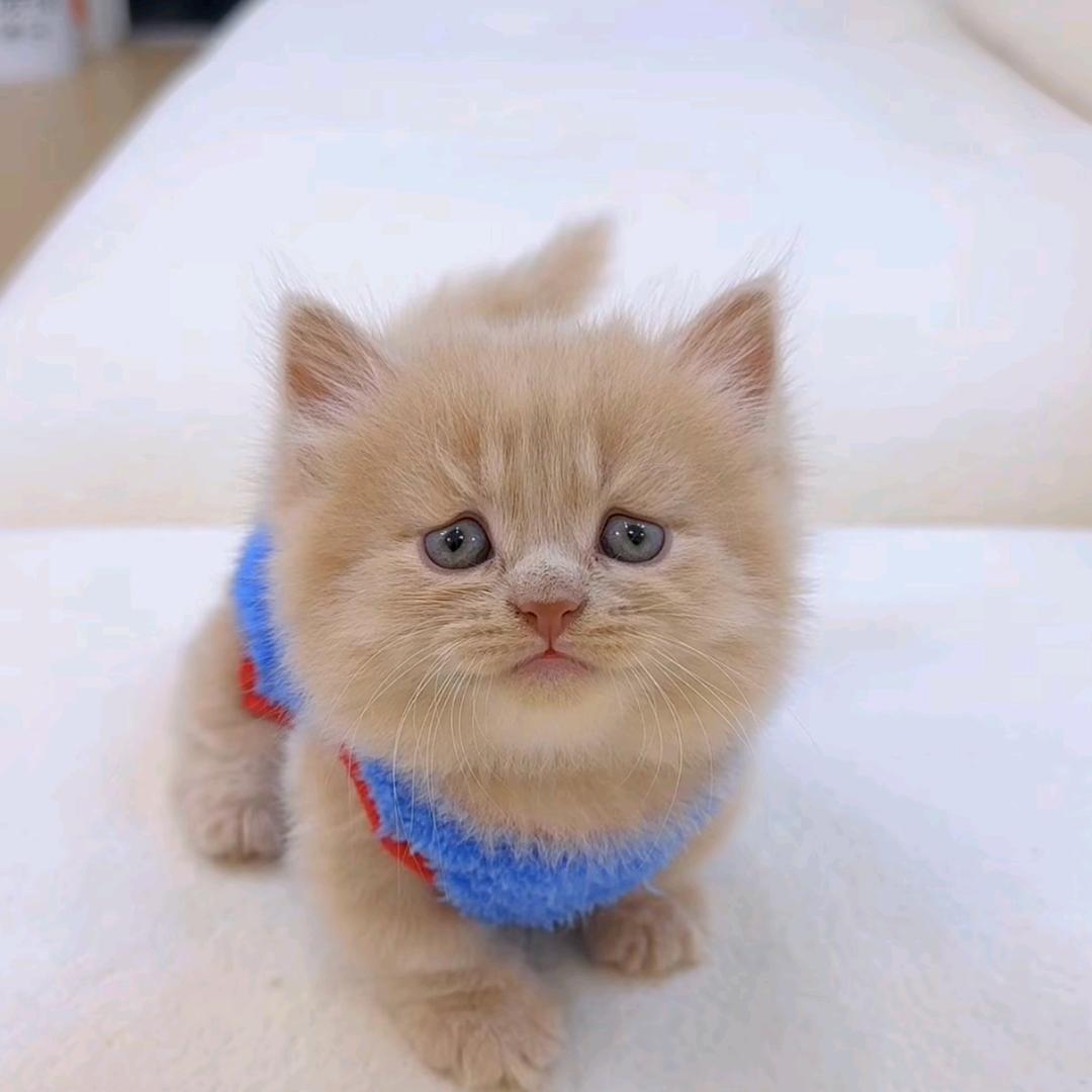 ❤时光荏苒⁸¹⁰❤