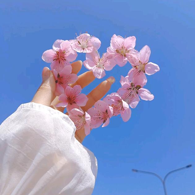 姣姣星河揽星入怀