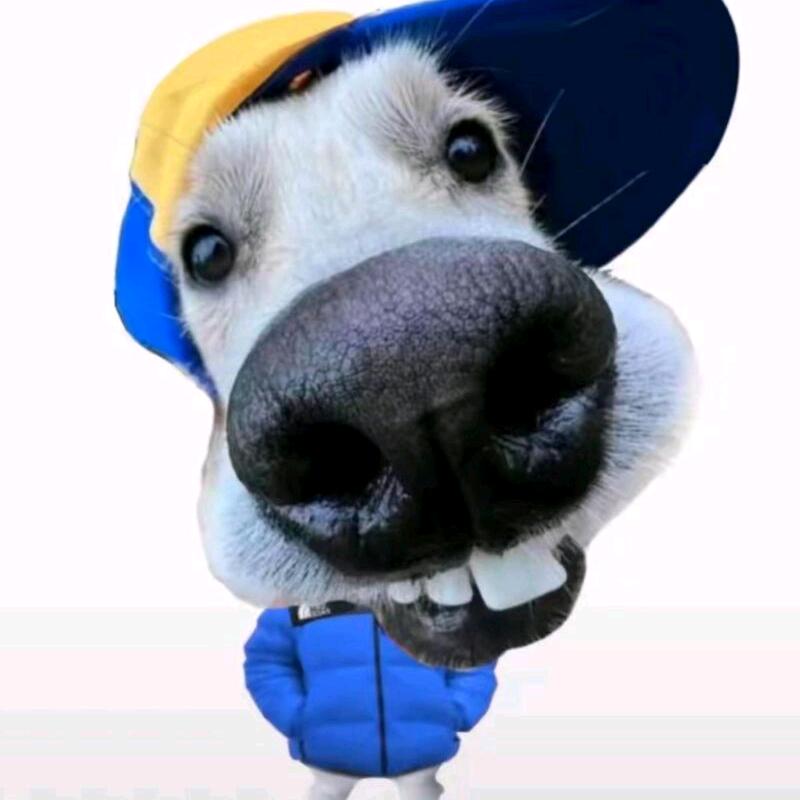 长长     （三角洲行动）