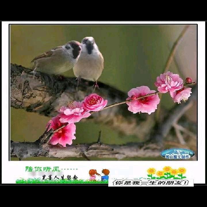@雨后的.彩虹